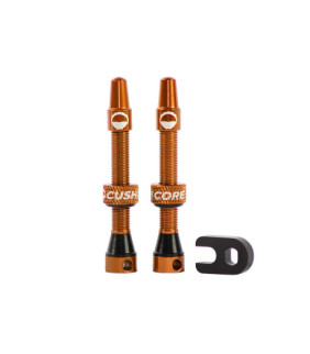 Valve tubeless Cushcore -...