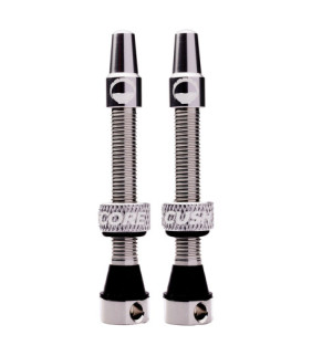 Valve tubeless Cushcore -...