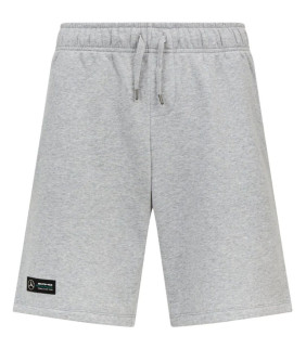 Mercedes AMG Petronas...