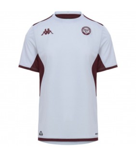 T-Shirt Gris Training...