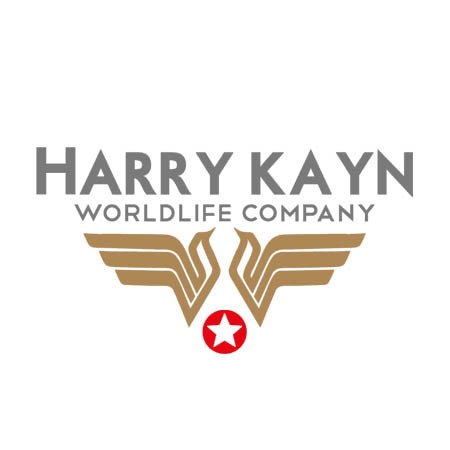 HARRY KAYN